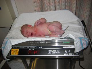 IMG_0278.JPG
