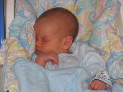IMG_0373.JPG