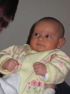 IMG_0530.JPG