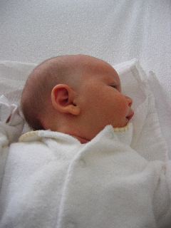IMG_0402.JPG