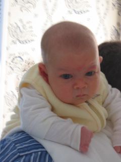 IMG_0464.JPG