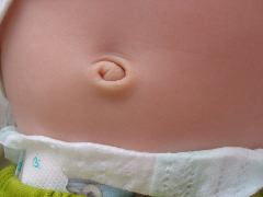 IMG_0701.JPG