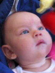 IMG_0859.JPG