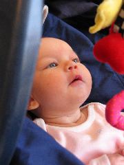 IMG_0868.JPG