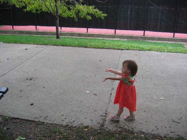 IMG_2004.JPG