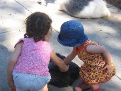 IMG_2159.JPG