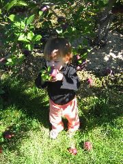 IMG_2182.JPG