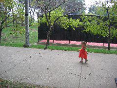 IMG_2002.JPG