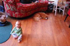 IMG_1278.JPG
