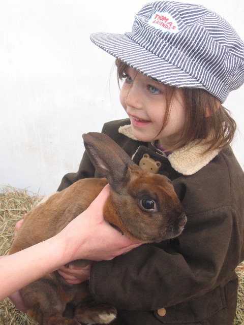 Sheep Shearing Festival, Gore Place