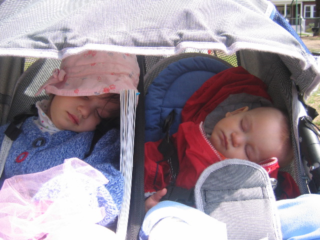 sleeping beauties redux