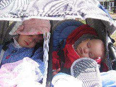 sleeping beauties redux